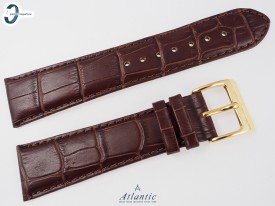 Pasek Atlantic 24 mm skórzany brązowy złota klamra
